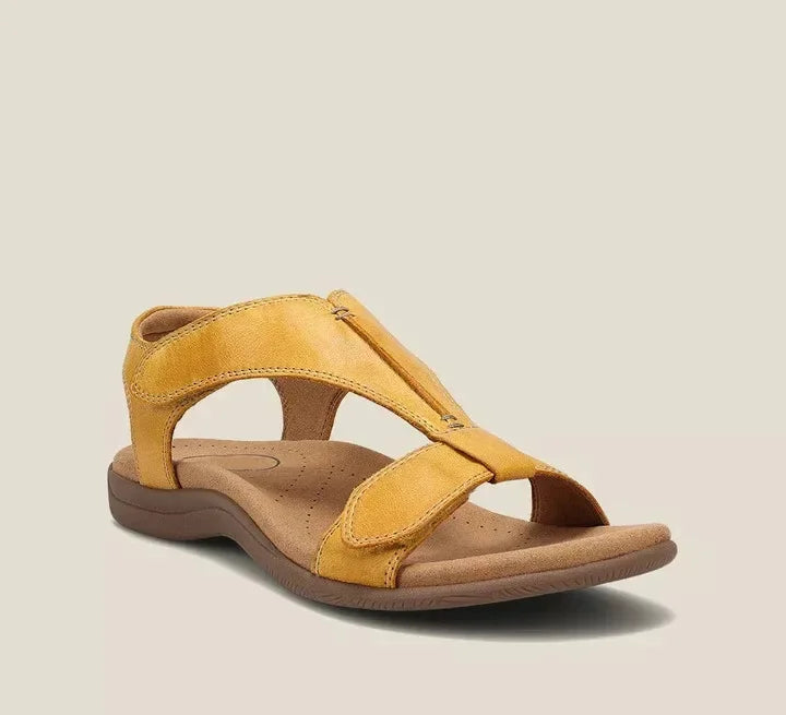 Yellow / 11 US | 42 EU