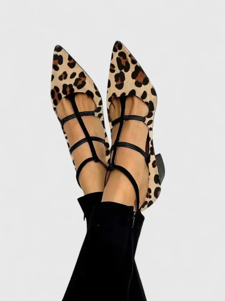 Leopard / 11 US | 42 EU