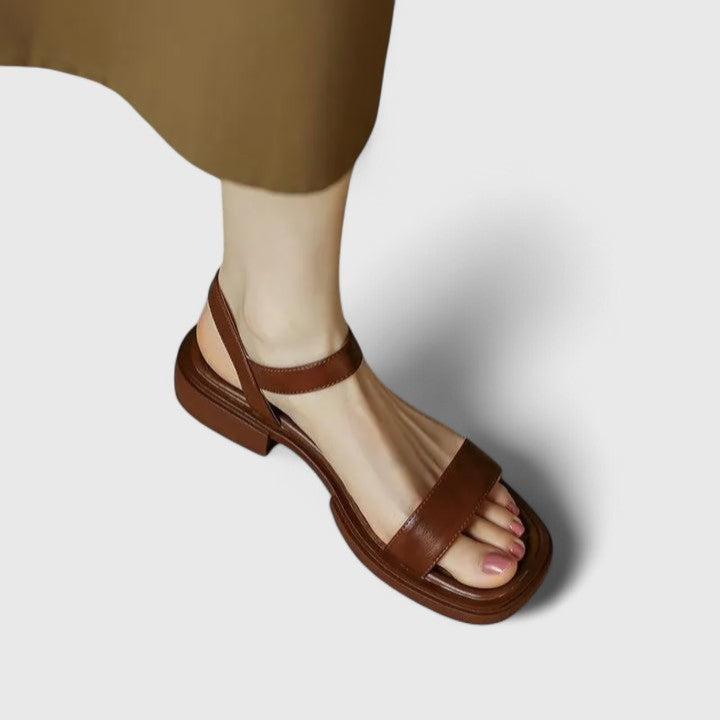 Brown / 12 US | 43 EU