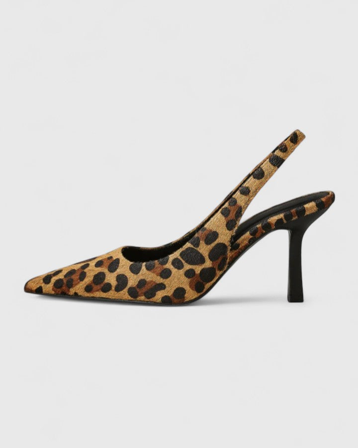 Leopard / 12 US | 43 EU